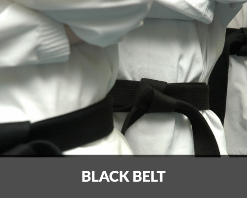 Curso de Upgrade para Black Belt Lean Six Sigma