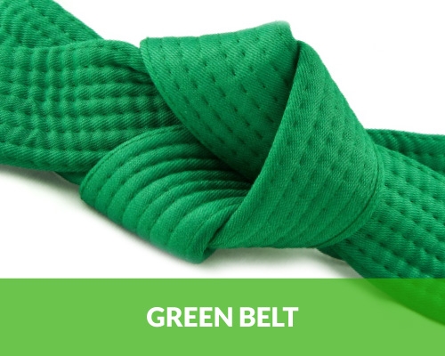 Curso de Green Belt Lean Six Sigma